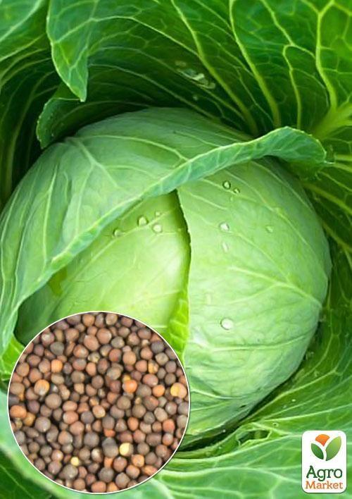 На развес Капуста "Завадовка" ТМ "Весна" цена за 6г