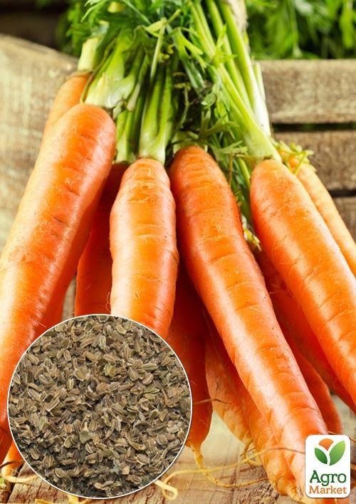 

На вагу Морква Долянка ТМ Весна ціна за 10г