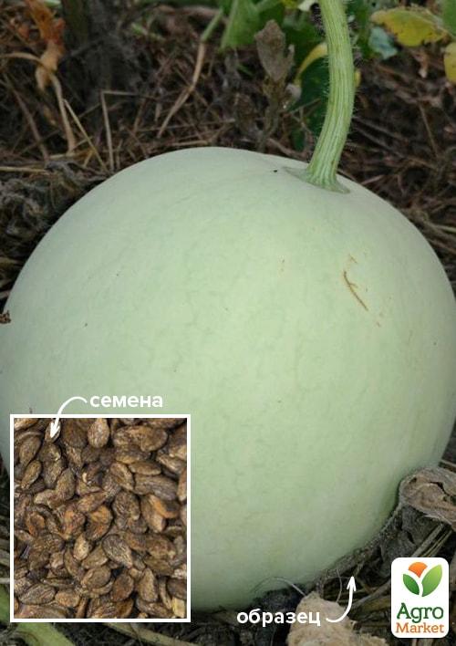 

На вагу Кавун Білосніжка ТМ Весна ціна за 6г