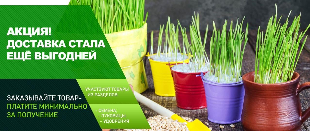 Акция! Выгодные тарифы доставки Акция! Выгодные тарифы доставки