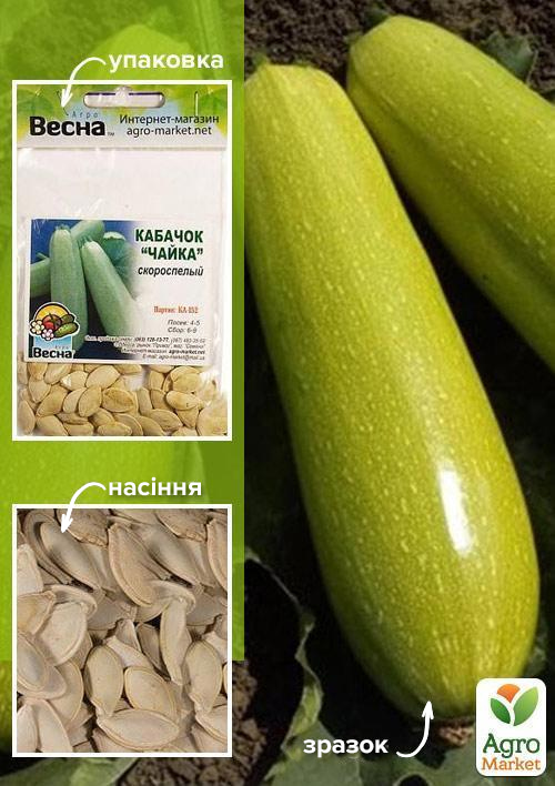 

Кабачок Чайка (Зипер) ТМ Весна 5г