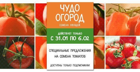 Чудо огород: скидка 8% на популярные семена томатов Чудо огород: скидка 8% на популярные семена томатов