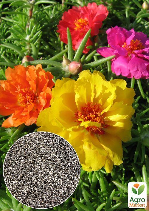 

На вагу Портулак Великоквітковий суміш ТМ Весна ціна за 1,5г