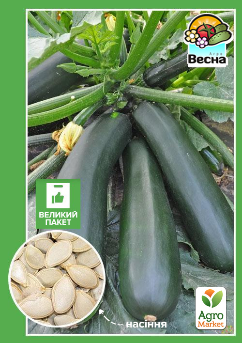 

Кабачок Скворушка (Большой пакет) ТМ Весна 4г