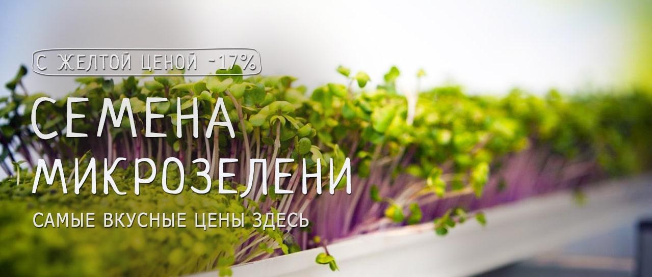 Акция! Новинка. Ароматная микрозелень для Вашей семьи с желтой ценой -17% Акция! Новинка. Ароматная микрозелень для Вашей семьи с желтой ценой -17%