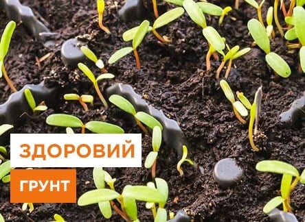 3 способи знезараження ґрунту для посіву насіння - корисні статті про садівництво від Agro-Market