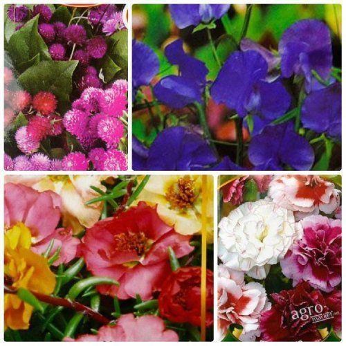 

Комплект насіння квітів Зимова казка 5уп