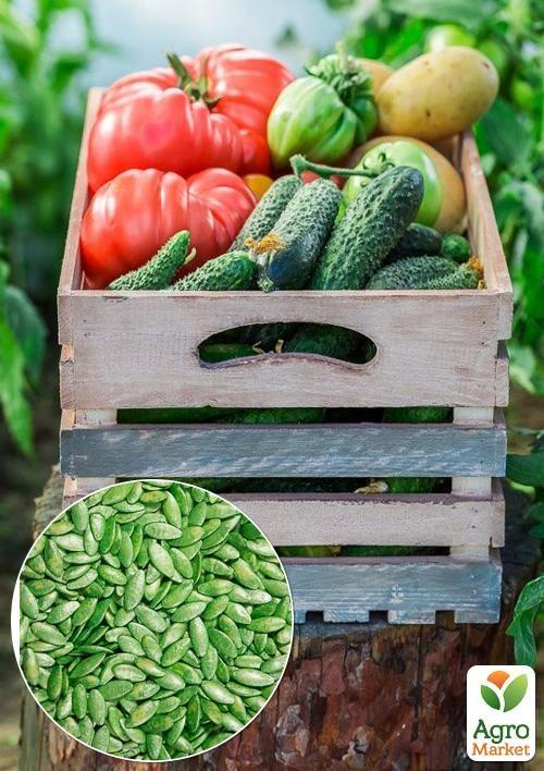 

На развес Огурец Цезарь обработаный F1 ТМ Весна цена за 3г