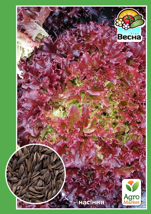 

Салат Рожеве мереживо (Новий пакет) ТМ Весна 1.5г