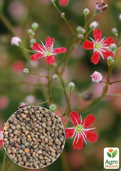 

На вагу Гіпсофіла червона ТМ Весна ціна за 2г