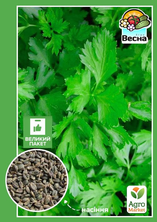 

Петрушка Листова (Великий пакет) ТМ Весна 6г