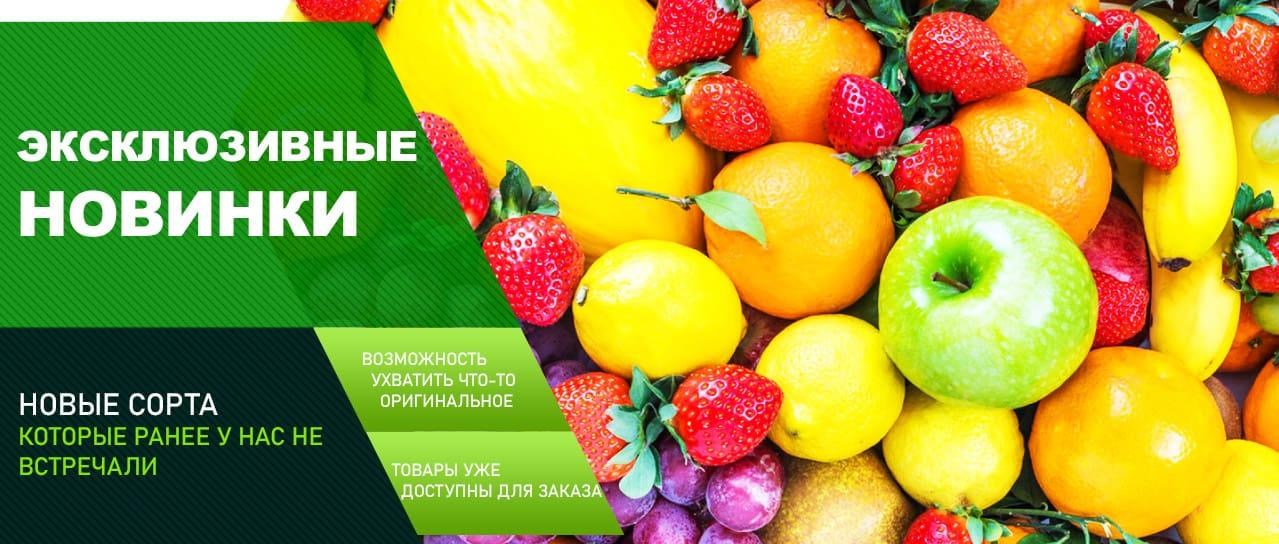 Акция! Эксклюзивные новинки Акция! Эксклюзивные новинки