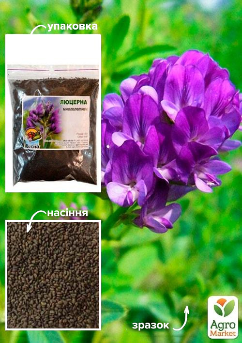 

Люцерна оброблена (намагніченість) Зірниця ТМ Весна 100г