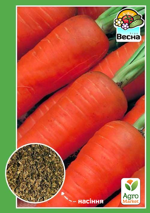 

Морква Амстердамська ТМ Весна 2г
