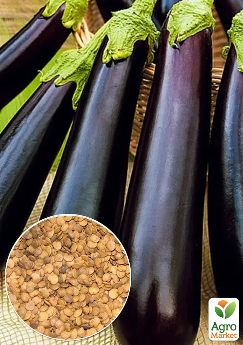 

На вагу Баклажан Донецький урожайний ТМ Весна ціна за 2г