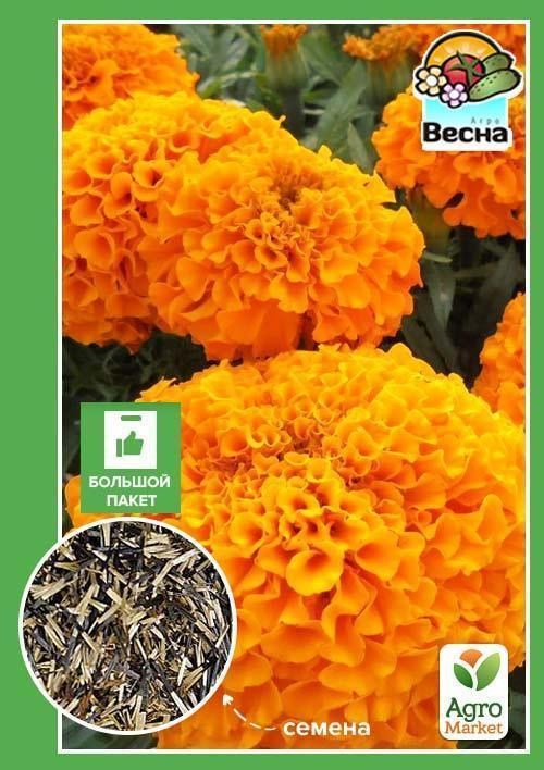 

Бархатцы Низкорослые оранжевые (Большой пакет) ТМ Весна 2г
