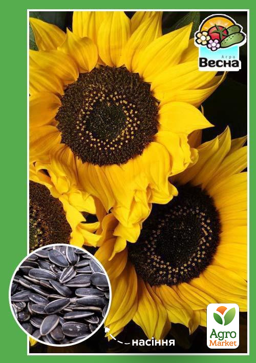 

Соняшник Низькорослий ТМ Весна 0.5г