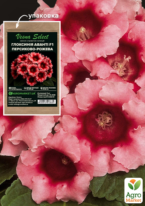 

Глоксиния Аванти F1 персиково-розовая ТМ Vesna Select 5шт