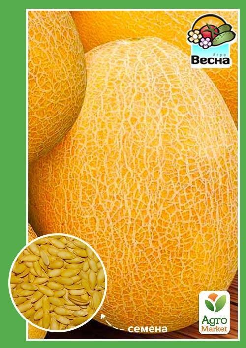 

Дыня "Берегиня" ТМ "Весна" 1,5г