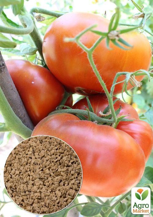 

На развес Томат Альпийский мед ТМ Весна цена за 1г