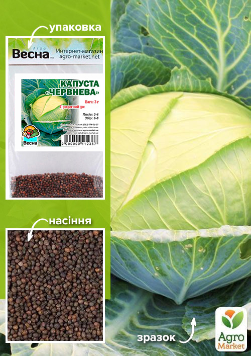 

Капуста Июньская (Зипер) ТМ Весна 3г