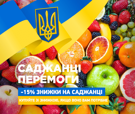 Саджанці перемоги! -15% знижки на найкращі сорти Саджанці перемоги! -15% знижки на найкращі сорти