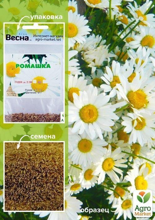 

Ромашка Белая (Зипер) ТМ Весна 2г