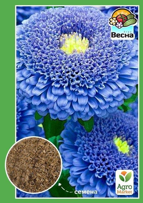 

Астра Кристина ТМ Весна 0.2г
