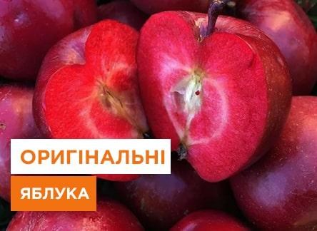 Как вырастить яблони с красной мякотью