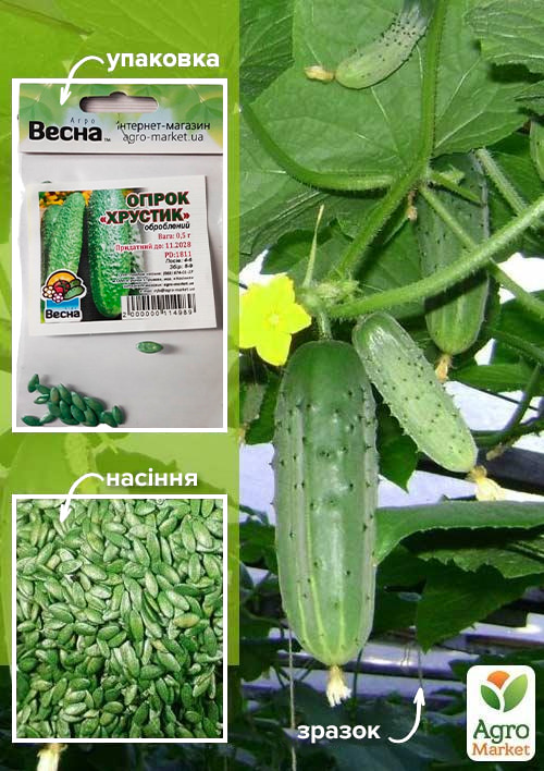 

Огірок оброблений Хрустик (Зипер) ТМ Весна 0.5г