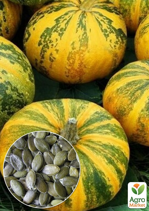 

На вагу Гарбуз Юнона ТМ Весна ціна за 10г