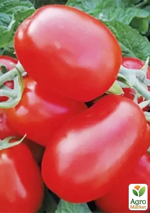 

Томат детерминантный "1510 F1" ТМ "Lark Seeds" 5000шт