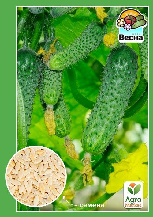 

Огірок Анулька ТМ Весна 0.5г