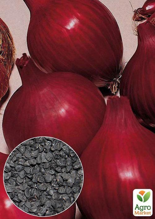 На развес Лук "Кармен" ТМ "Весна" цена за 5г