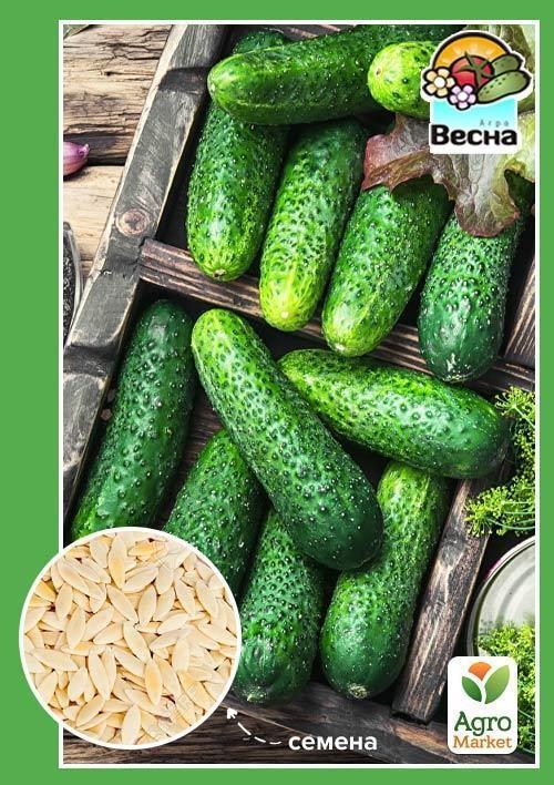

Огурец "Закуска" ТМ "Весна" 0.5г