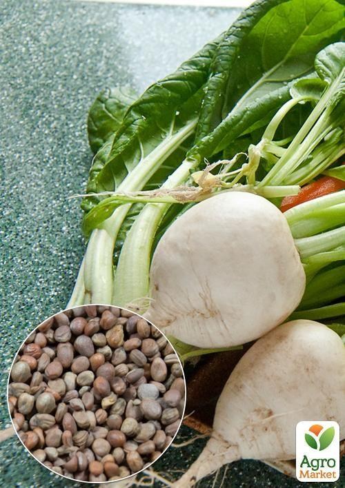 

На развес Редька дайкон Круглый Саша ТМ Весна цена за 10г