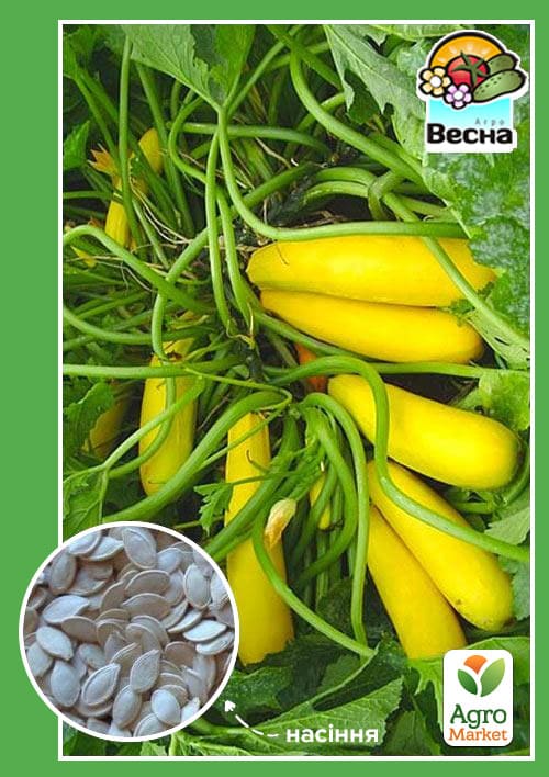 

Кабачок Золотинка ТМ Весна 2г