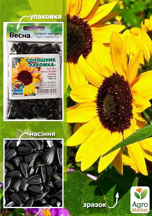 

Подсолнечник Лакомка (Зипер) ТМ Весна 30г