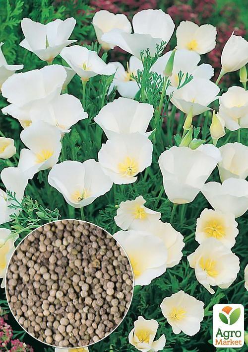 

На развес Эшшольция Белая ТМ Весна цена за 2г