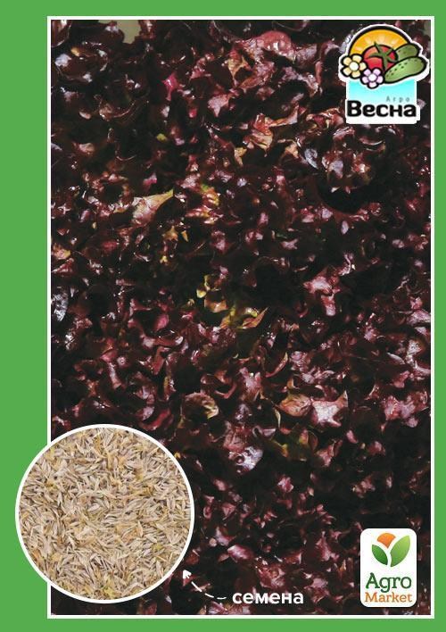 

Салат Фонтан (Новый пакет) ТМ Весна 1.5г