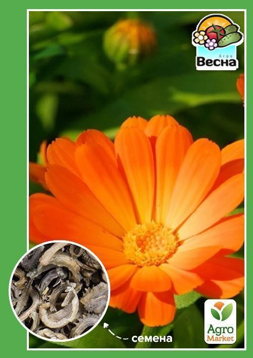 

Календула Лекарственная ТМ Весна 1г