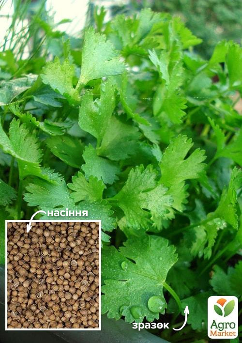 

Кориандр Летний аромат ТМ Весна 100г