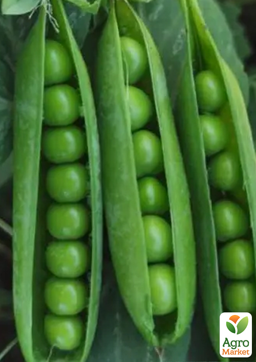 

Горох Легель ТМ Весна 500г