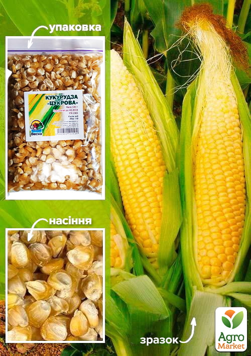 

Кукуруза сахарная ТМ Весна 500г