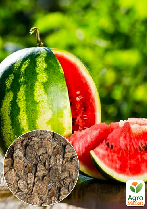 

На вагу Кавун Сверхранній ТМ Весна ціна за 6г