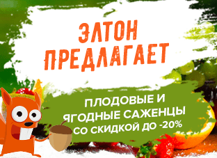 Акция! Элтон предлагает саженцы со скидкой до -20% Акция! Элтон предлагает саженцы со скидкой до -20%