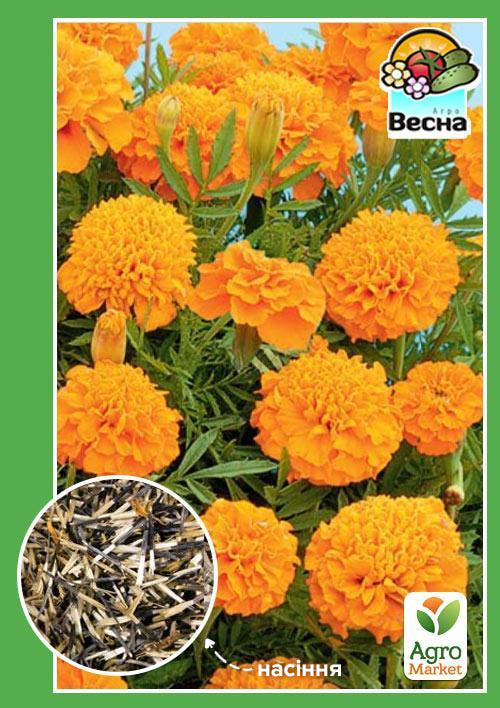 

Чорнобривці Петіт ТМ Весна 0.3г