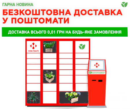 Безкоштовна доставка у поштомати Нова Пошта Безкоштовна доставка у поштомати Нова Пошта