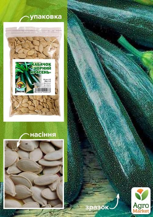 

Кабачок Черный красавец ТМ Весна 100г