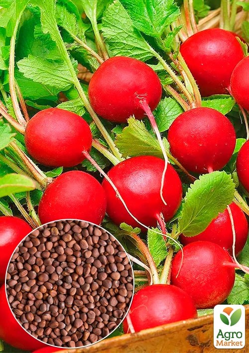 

На вагу Редис Еліза ТМ Весна ціна за 10г